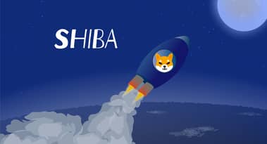 Should you invest in the SHIB token as it's starting to build up its use-cases?