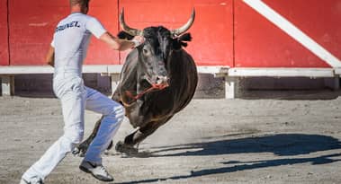 Bitcoin price outlook: Analyst identifies key level for bulls as BTC breaks above $20K
