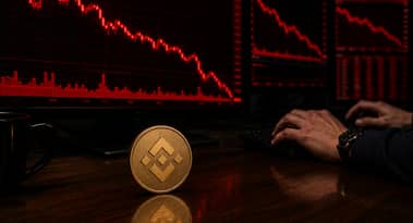 Why is BNB coin price down amid AI integration and tokenised RWA growth