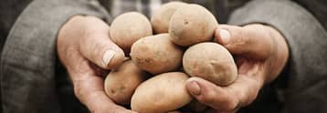 Farmers give away potatoes, dairy cows slaughtered for meat