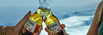 Constellation Brands stock has upside to $300: RBC's Modi