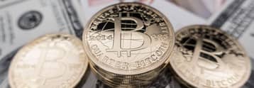 Dutch Police impounds $30 million worth of Bitcoin from perpetrators