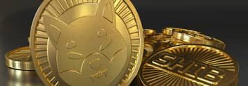Can Shiba Inu coin price extend its rally as 1T tokens leave exchanges?