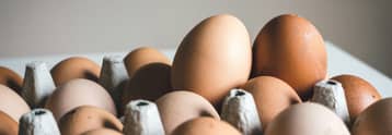 JBS enters Brazil's egg industry with 48.5% stake in Mantiqueira Alimentos