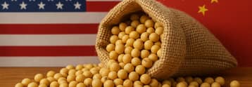 China’s soybean demand for US slows despite trade breakthrough
