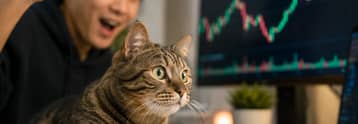 ¿Por qué el precio de Cash Cat sube 1400% hoy y hasta dónde puede llegar?