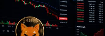 Will SHIB price crash as whales sell?