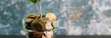 Eneba releases educational resource on market risk and consumer decision-making