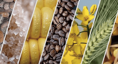 ICE Commits to Five-Year Ceiling on Liffe Soft Commodity Trading Fees
