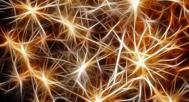 Ripple more than doubles XRP Ledger’s validator network since May