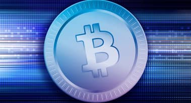 Elon Musk accepts Kim Dotcom's claims about Bitcoin Cash (BCH)