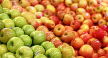 Morrisons share price rallies on special dividend