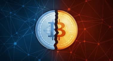 Crypto market won't react to BTC halving, says Morgan Creek Digital co-founder