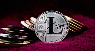 Litecoin scammers steal 309 LTC from crypto users