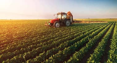 Est-il trop risqué d'acheter des actions d'AgriForce Growing Systems jeudi ?
