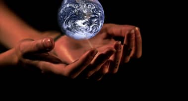 Sustainability A New Focus Among Elite Companies