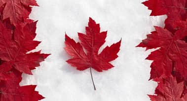 Statistics Canada reveals a 1.8% increase in wholesale sales in January