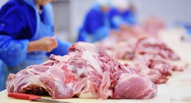 La cadena de suministro de carne de América del Norte está en peligro debido a que el coronavirus cierra los procesadores