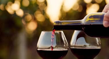 Naked Wines reporta un aumento del 81% en las ventas ya que COVID-19 restringe a la gente a sus casas
