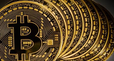 El autor de Black Swan llama a los Bitcoiners 'totalmente idiotas'