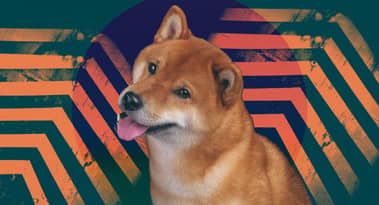 El precio de Dogecoin (DOGE) va a la luna en un aumento diario del 420%