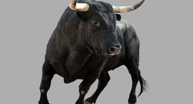 El corredor de activos múltiples con sede en Nueva Zelanda, BlackBull, obtiene la licencia de emisor de derivados de Nueva Zelanda