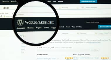WordPress maakt inkomsten in Ethereum (ETH) mogelijk