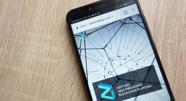 Up or down? Zilliqa (ZIL) price prediction for January