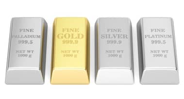 Mixed US CPI data, weak labor market keep bullion shining; palladium up 2% after hitting bottom