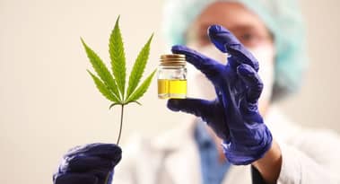 Aphria och Tilray går samman till den största cannabisproducenten sett till försäljning
