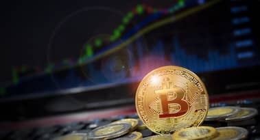 Sfatando la teoria di David Rosenberg "la curva di offerta futura di bitcoin è sconosciuta"
