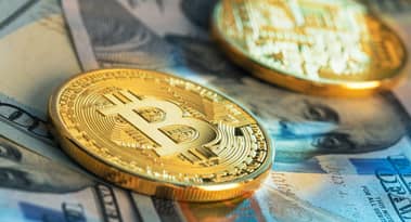 Kim Dotcom prédit que BCH dépassera 2 000 £ en 2021