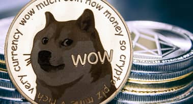 Wieso ist Dogecoin so stark gestiegen? Wegen des Twitter-Logos, offensichtlich