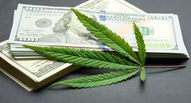 Best weed stocks to buy? Top 5 marijuana stocks to watch