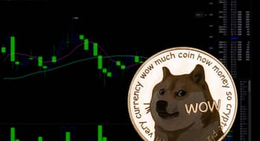The future of DOGE after the testnet launch of the Dogechain