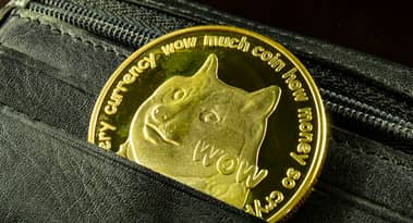 Elon Musk verursacht eine weitere Dogecoin-"Pumpe": Sollten Sie DOGE kaufen?