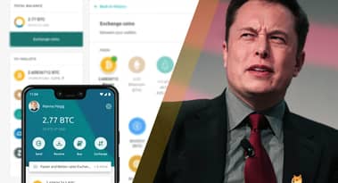 EXKLUSIVES Interview: Freewallet antwortet auf die Aussage von Elon Musk, die App sei "scheiße"