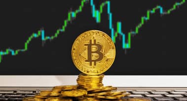 Bitcoin (BTC) prijs in de laatste week van januari 2021