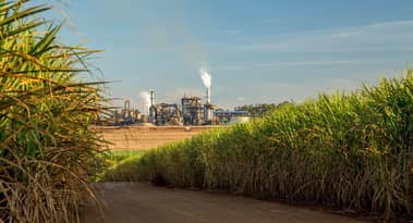 Sugar prices relentless bull run gains steam: More upside?