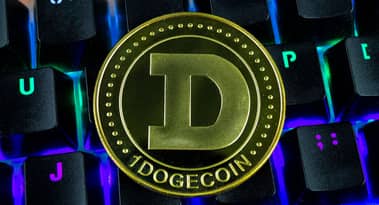 Le principal détaillant en ligne américain Newegg commence à accepter les paiements en Dogecoin