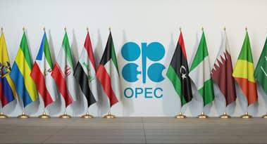 OPEC+ likely to continue gradual output increase strategy