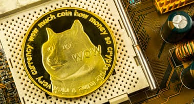 Wie hoch wird der Preis von DOGE steigen: wird Dogecoin 100$ erreichen?