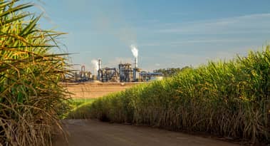 Sugar prices are flying but a retreat could be in the horizon