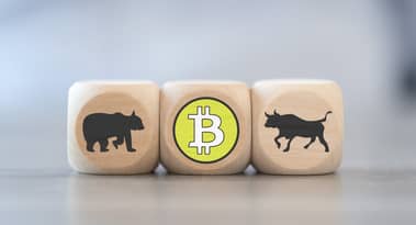 Erleben wir gerade einen Bärenmarkt bei Kryptowährungen?
