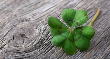 Should I buy Clover Health stock today? 'Buy the dip' say Reddit investors