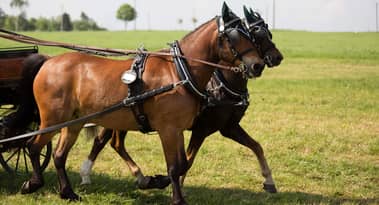 Workhorse Group är dagens mest blankade aktie – Här kan du köpa