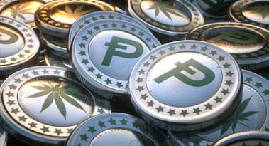 PotCoin, vaut-il la peine d'être acheté au prix actuel ?