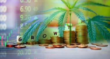 Tilray was double upgraded at Cantor Fitzgerald: should you buy TLRY now?