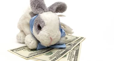 Rabbit Finance is up 80% today: here is where to buy RABBIT coin