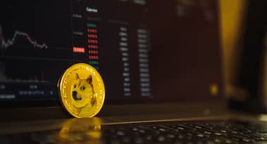 Dogecoin gana un 5.30 % al clasificarse como la criptomoneda más comprada por las ballenas